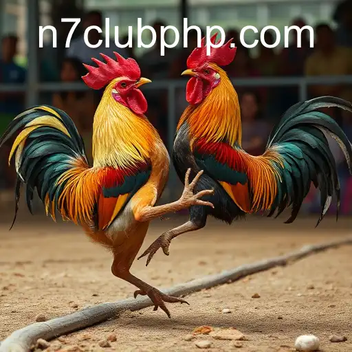 Security and Trust N7 club - International Licenses and Certifications